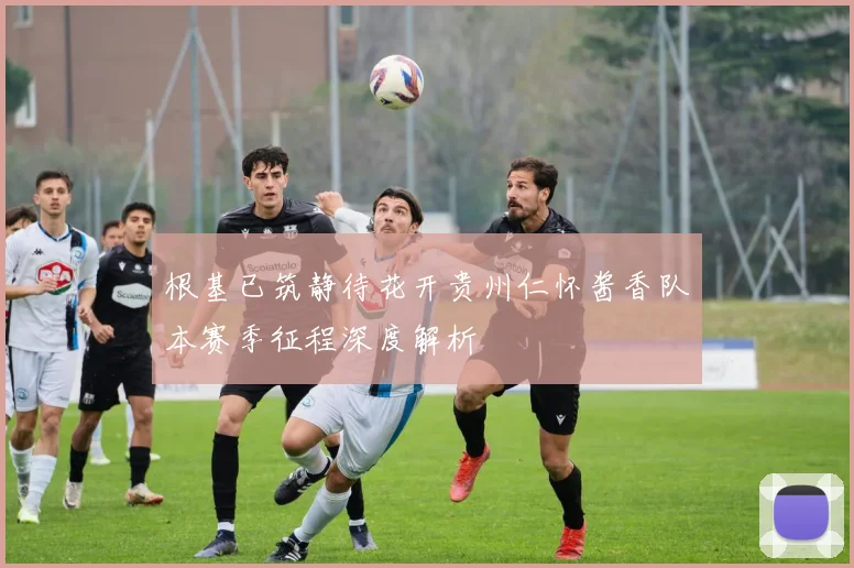 根基已筑静待花开贵州仁怀酱香队本赛季征程深度解析