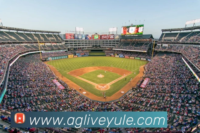 多媒体互动体验