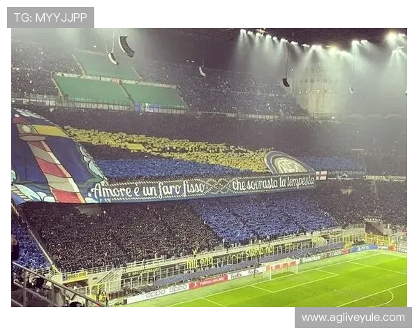 意甲最富有的球队是哪个?意甲富有球队的经济状况与背后 意甲最富有的球队是哪个?意甲富有球队的经济状况与背后